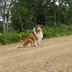 KriSSiti
