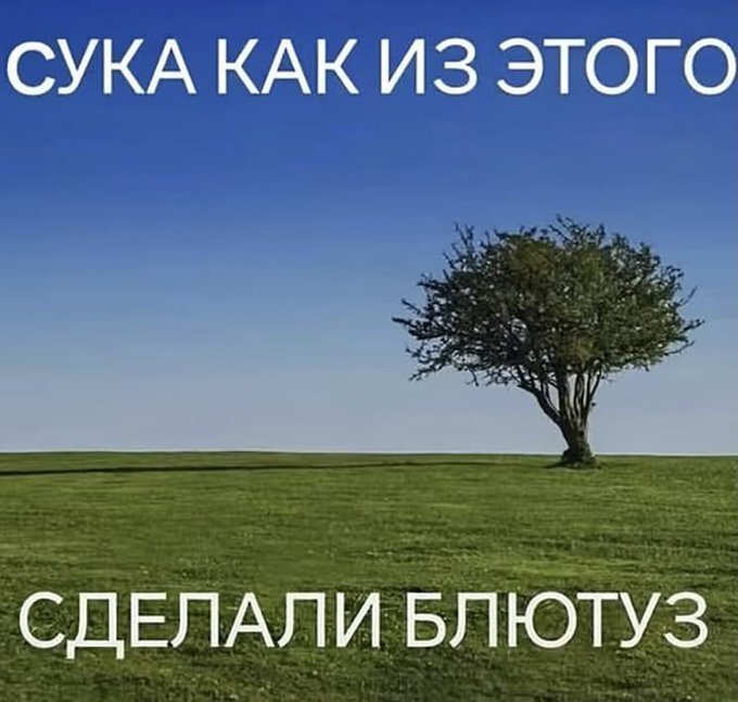 Вечный вопрос