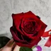 Alena696