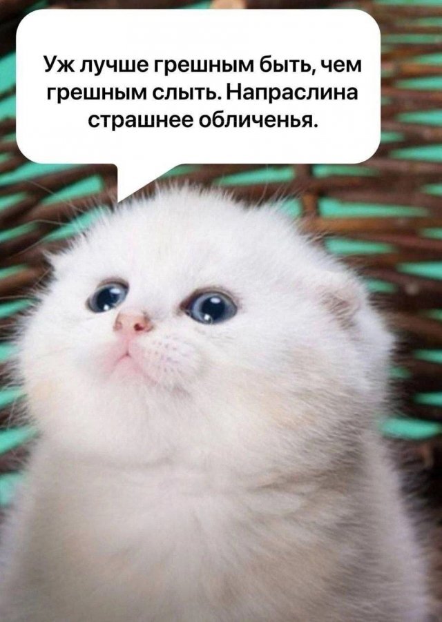 ����� �������� � ���, ��� �������� ����