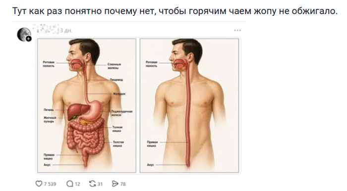 <a href="https://pikabu.ru/story/snachala_chay_potom_shaurmu_13938269?u=https%3A%2F%2Fpikabu.ru%2Fstory%2Fpochemu_a_13936612%3Fcid%3D391201618&t=%23comment_391201618&h=72d88ef6485acd704f02a7cf509a1939a4d21d67" title="https://pikabu.ru/story/pochemu_a_13936612?cid=391201618" target="_blank" rel="noopener">#comment_391201618</a>