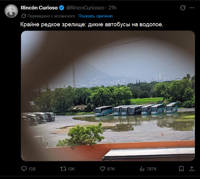 Давайте за ними понаблюдаем