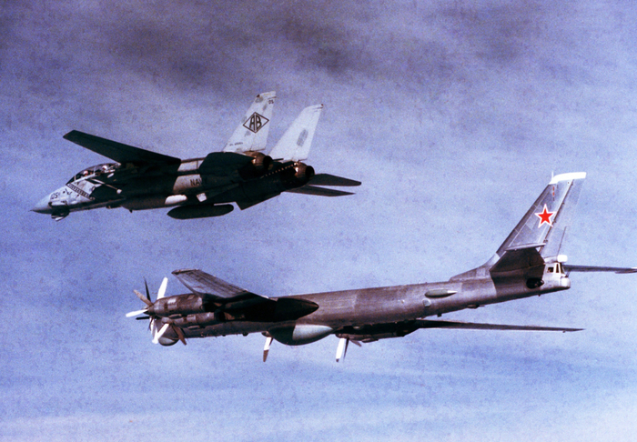 ��-95�� � ������������� F-14 ��� �������� ���������� � 1985 ����