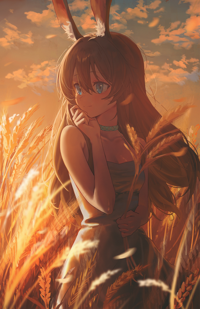 Amiya