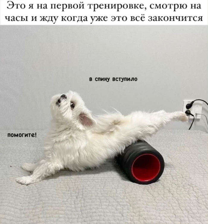 ������������ �� �������: �����, ������ � ������
