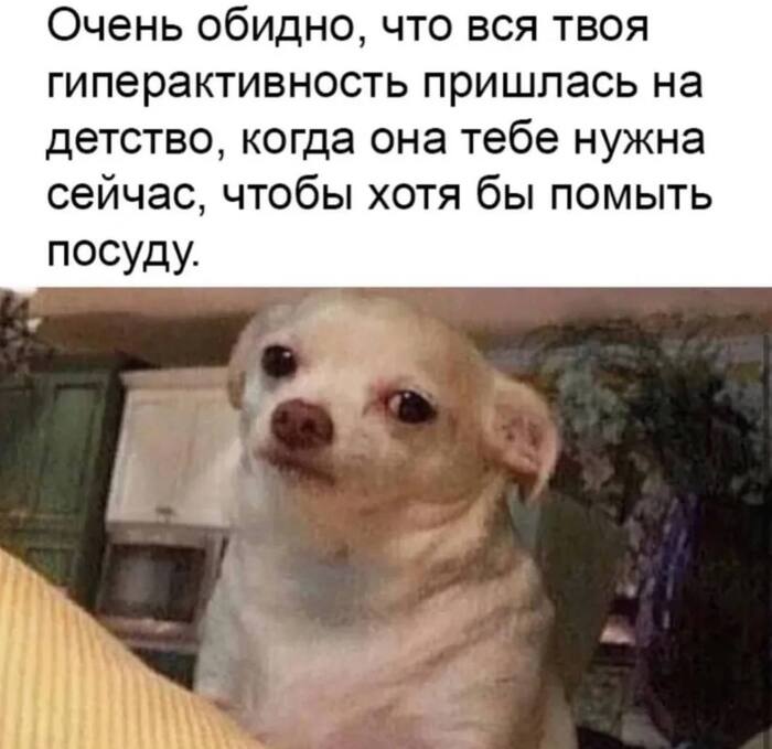 ��������� ���������� ����?