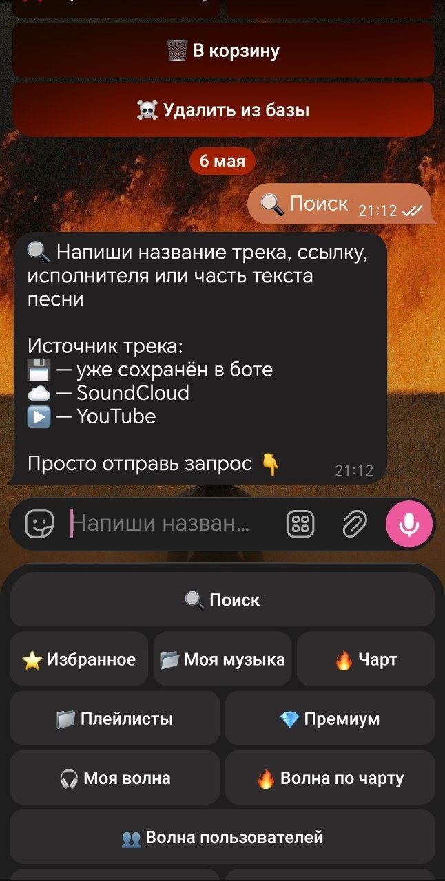 ���� ������.��������� ����� � ������ ����� ������������ ���� � Telegram