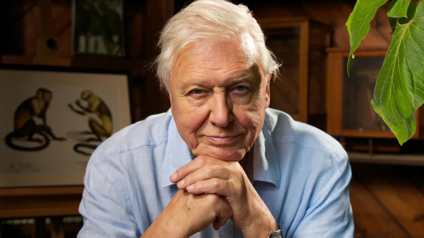 Happy anniversary! - David Attenborough, Anniversary, Birthday, The photo