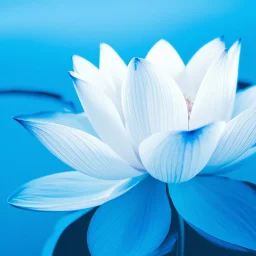 Ishvara