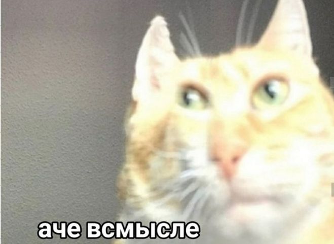 ��� �������-������������ ����