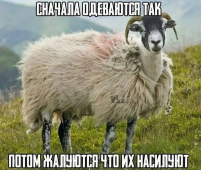 ����� �� ���� ������� ������� ����������� !�