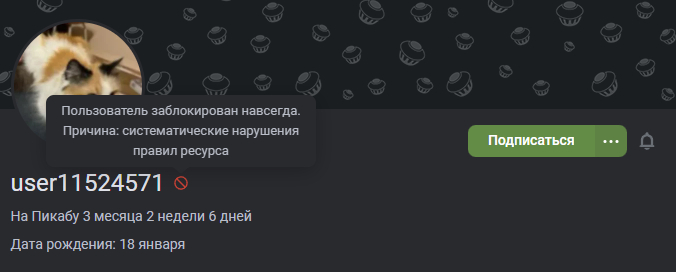<a href="/@user11524571" target="_blank" rel="noopener" class="user-call" data-type="user" data-own="false" data-profile="true" data-name="user11524571">https://pikabu.ru/@user11524571</a>