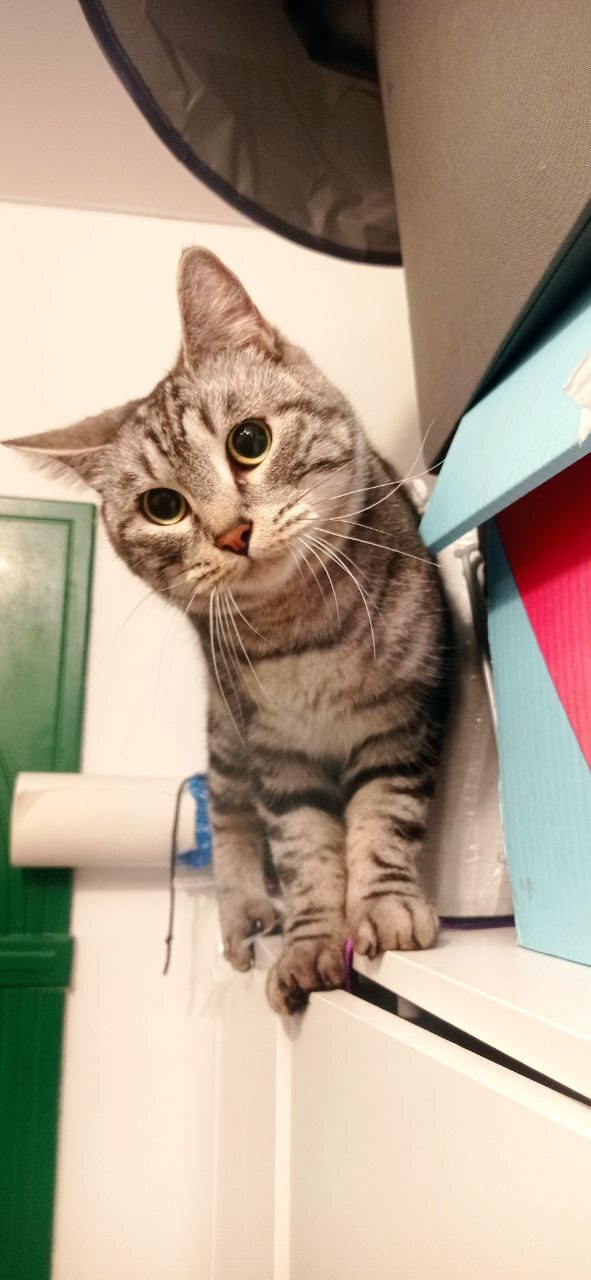 � ����� � ���� ���� ��������