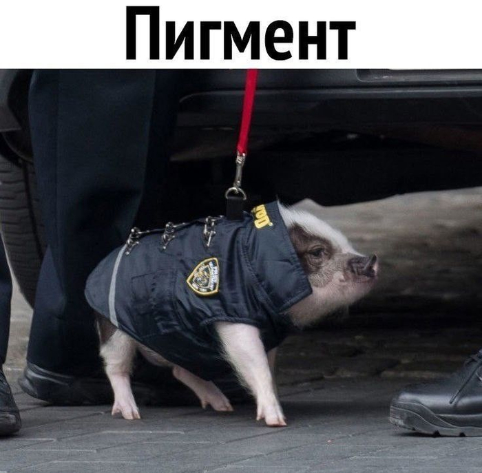 �� ������ ������� :
