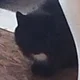 ����� ����� ������ ���� �����������