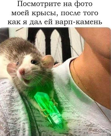 ������� ^^