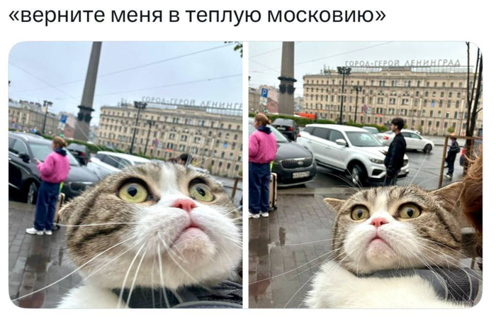 ����� �������� � ����� � ���
