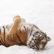����� ����� ������ ���� �����������