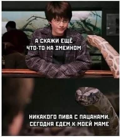 ������������� ������� ����
