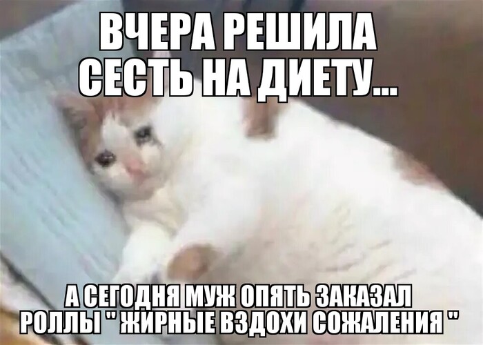 Ответ на пост: " Когда на диете случайно заточил пельметосов со сметаной"