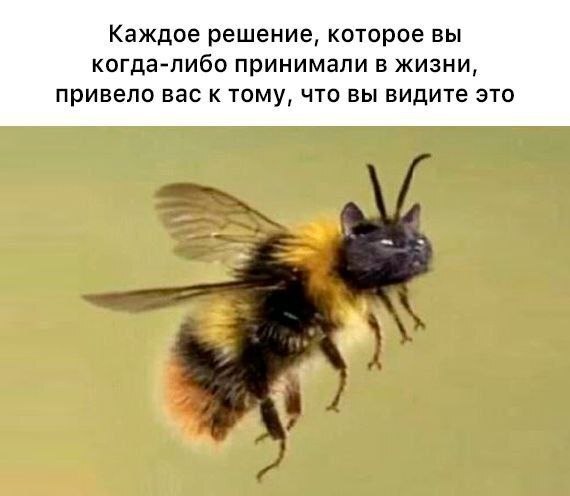 ��� ���� �� ���