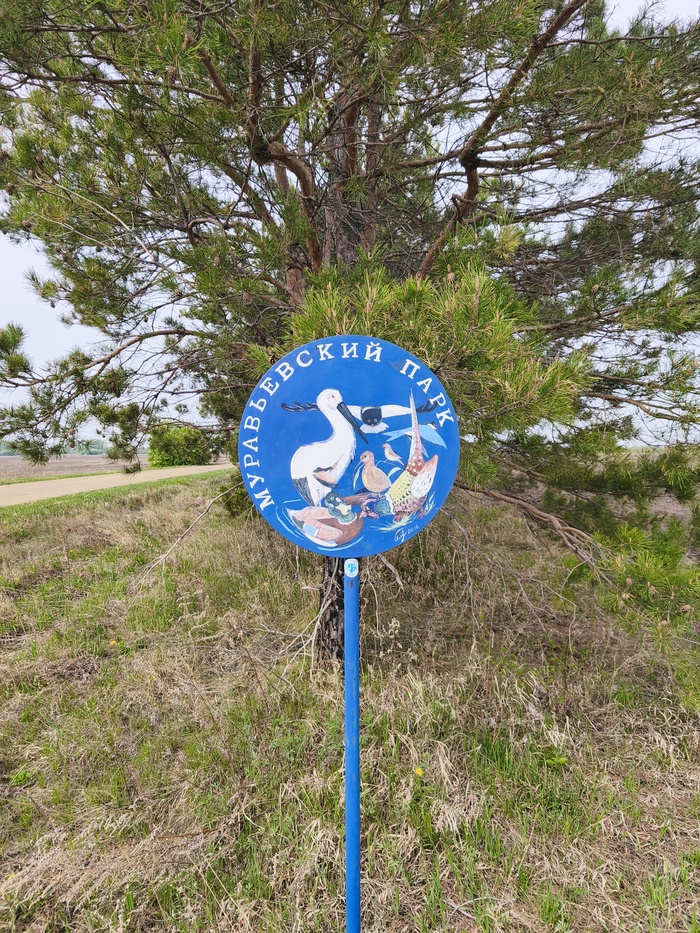 ������ ����🐦🌳