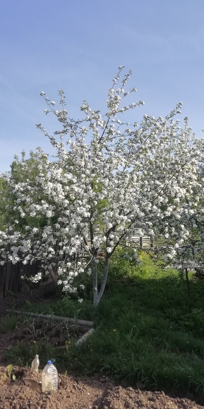 � � ���� ������ �������