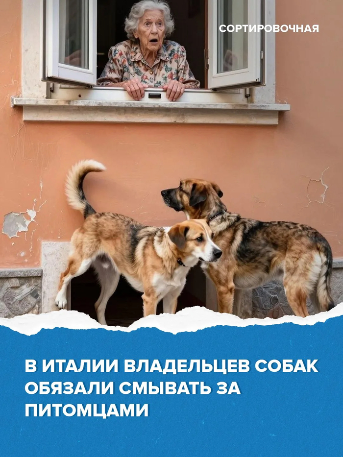 � ����������� ������� ���������� ����� ������� ������� ������ �������� ����������������� ��������