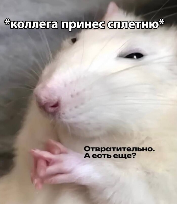 � �������� ������� �� �������� �� ����!