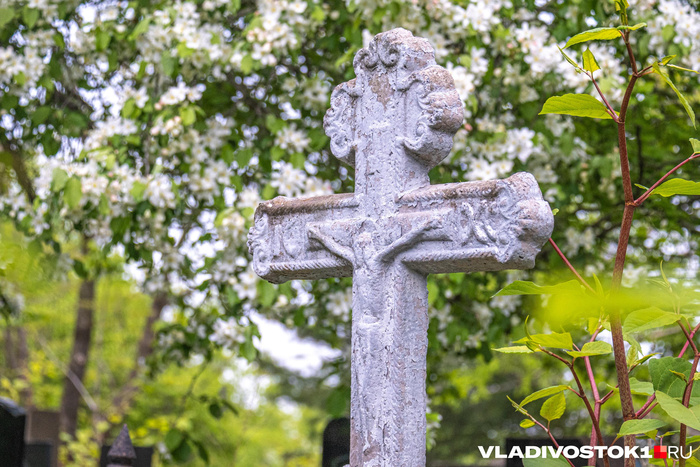 ����� ������ / <!--noindex--><a href="https://pikabu.ru/story/izyashchnaya_pechal_mramornyikh_lits_krasivyie_nadgrobiya_morskogo_kladbishcha_13990821?u=http%3A%2F%2FVLADIVOSTOK1.RU&t=VLADIVOSTOK1.RU&h=65ff03fe28c7228e4127e83457e6f4a14f0430f6" title="http://VLADIVOSTOK1.RU" target="_blank" rel="nofollow noopener">VLADIVOSTOK1.RU</a><!--/noindex-->