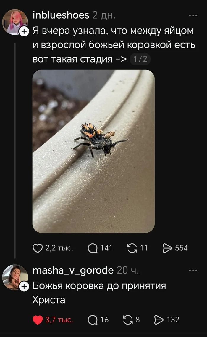 Побойтесь бога
