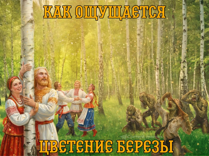 ���� ��� ��������/� ���������