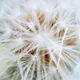 ������ ������������ ClearNorthWind