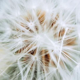 ClearNorthWind