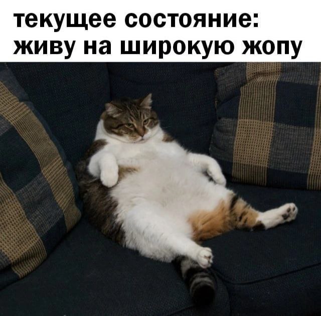 �������� �� ��� ��� �����...