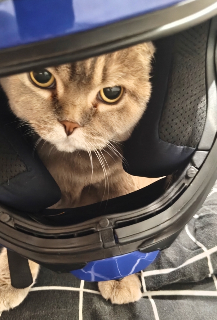 ��� � ���������