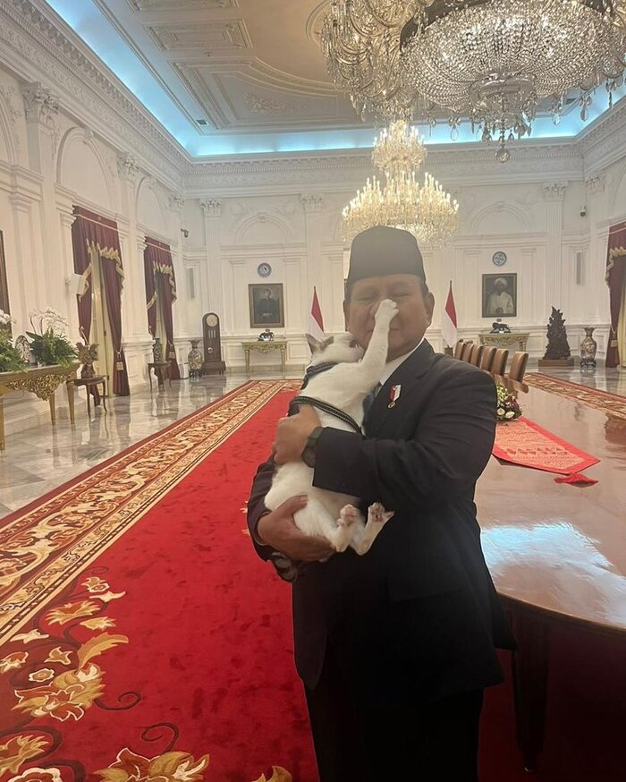 <!--noindex--><a href="https://pikabu.ru/story/kot_bobbi_kertanegara_delaet_kus_i_bup_prezidentu_indonezii_prabovo_subianto_13994498?u=https%3A%2F%2Fx.com%2Fi%2Fstatus%2F2057660298375434545&t=https%3A%2F%2Fx.com%2Fi%2Fstatus%2F2057660298375434545&h=8d9a5cc5f1e32a2fab62de02bf2632a2459cbb16" title="https://x.com/i/status/2057660298375434545" target="_blank" rel="nofollow noopener">https://x.com/i/status/2057660298375434545</a><!--/noindex-->