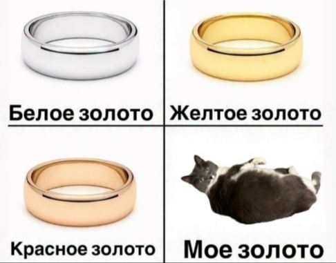 ���� ������