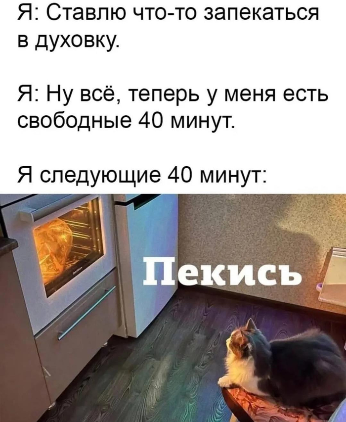 �������� ���