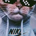 StlkrCS