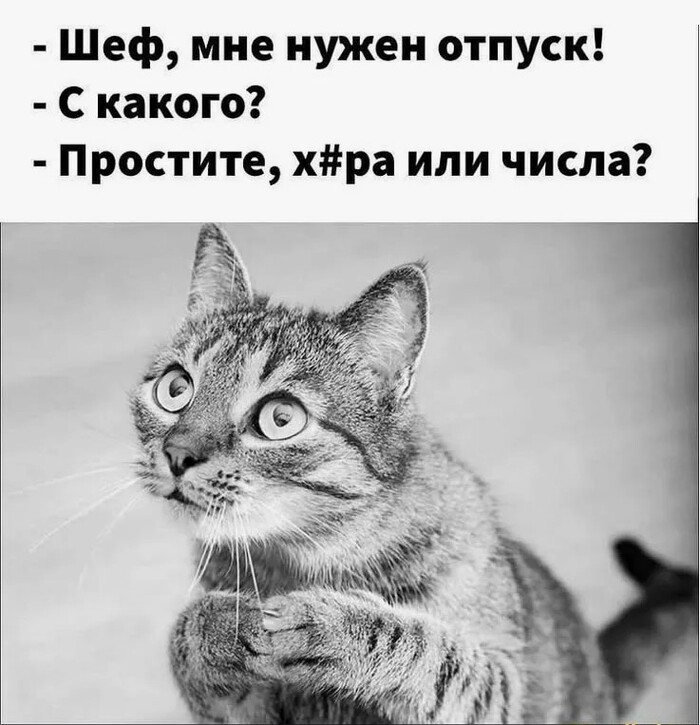 Каждый хочет в отпуск))))