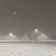 ����� ����� ������ ���� �����������