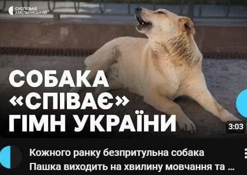 �i� �������� ������i���