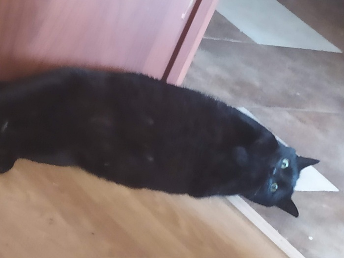 ��� ������