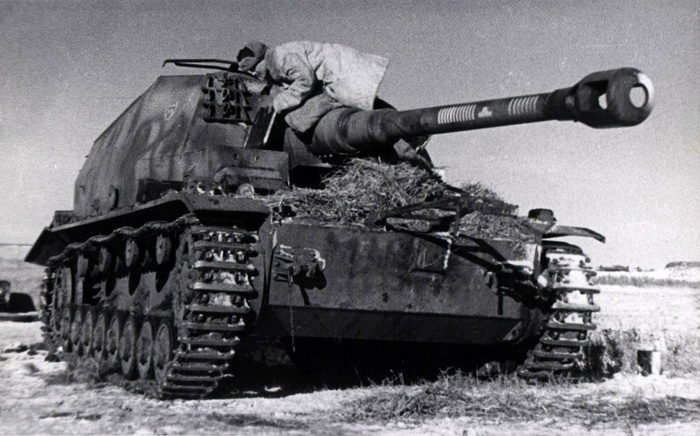 Затрофеенный Dicker Max