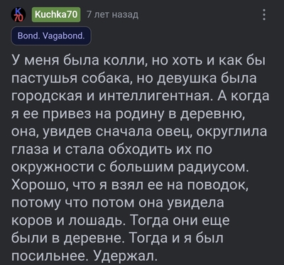 Иллюстрация к комментарию