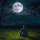 Аватар пользователя user11475977