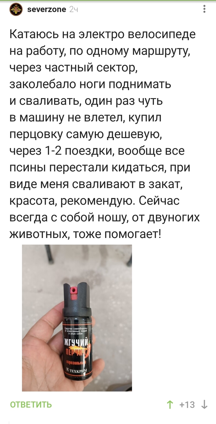 Эти милые собачки