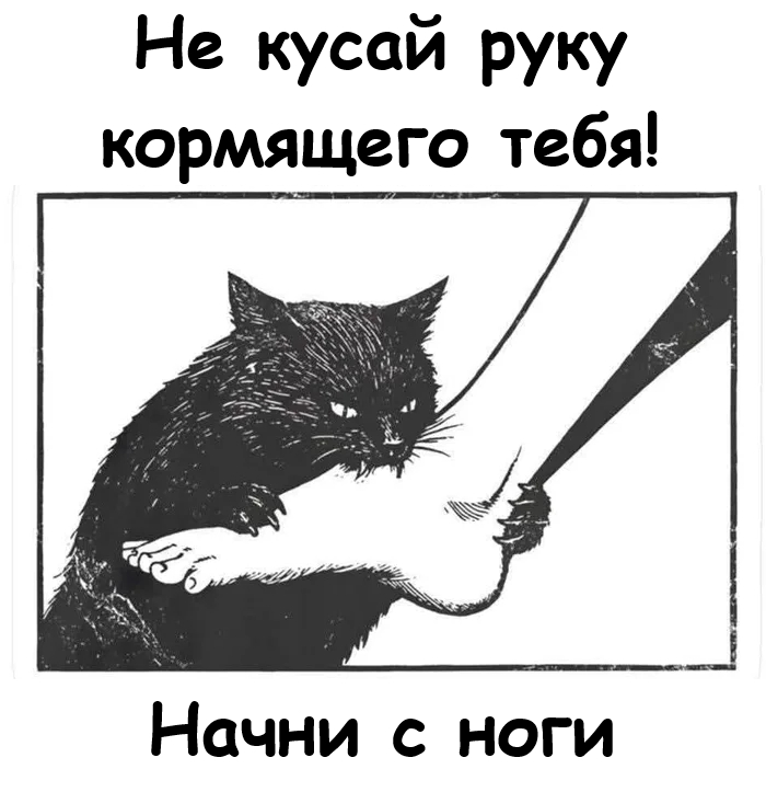 Кошачья истина