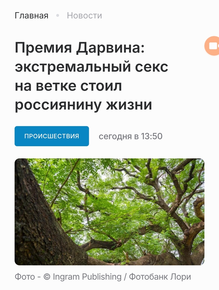 �������� - ���������